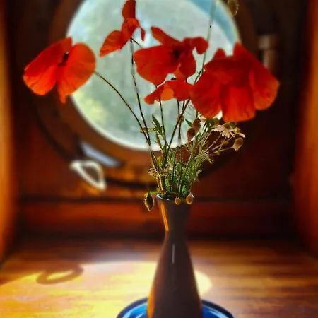 Novex, La Champenoise *